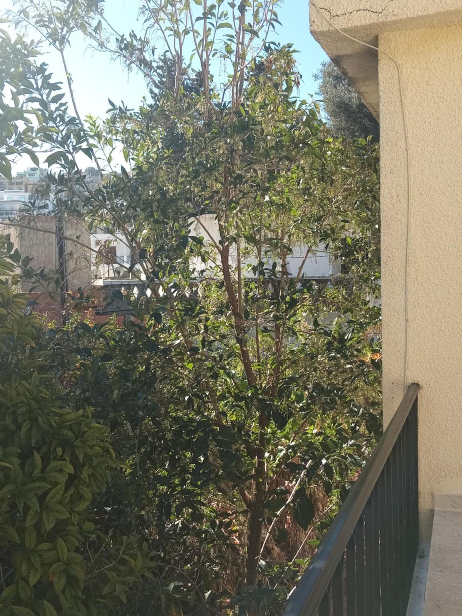 Maison De Vacances Ταμπάρκα Εξωτερικό φωτογραφία